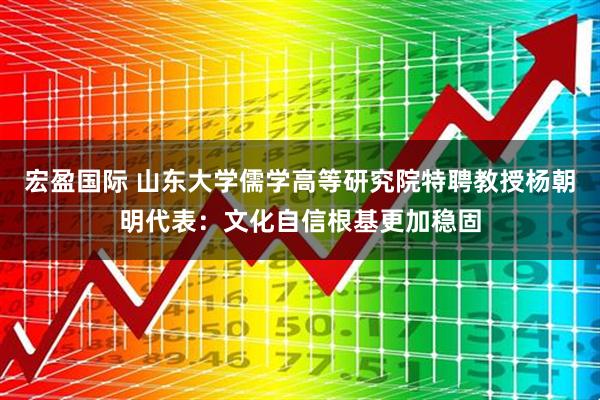 宏盈国际 山东大学儒学高等研究院特聘教授杨朝明代表：文化自信根基更加稳固