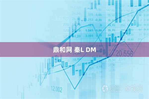鼎和网 秦L DM