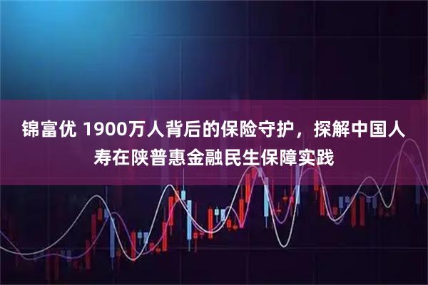 锦富优 1900万人背后的保险守护，探解中国人寿在陕普惠金融民生保障实践