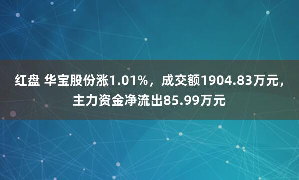 红盘 华宝股份涨1.01%，成交额1904.83万元，主力资金净流出85.99万元