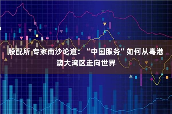 股配所 专家南沙论道：“中国服务”如何从粤港澳大湾区走向世界
