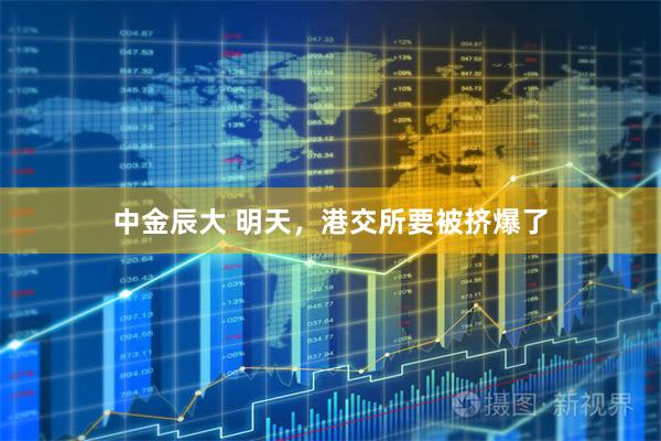 中金辰大 明天，港交所要被挤爆了