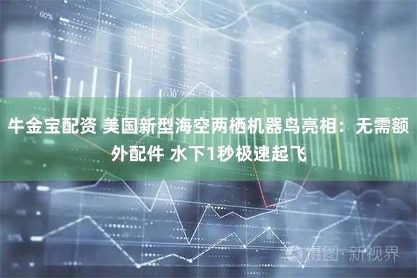牛金宝配资 美国新型海空两栖机器鸟亮相:无需额外配件 水下1秒极速起飞